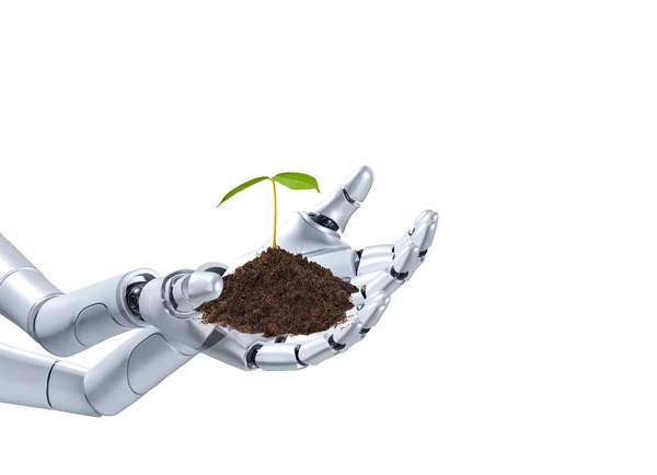 stock image Robot Hands Holding Sprout isolated on white background with clipping path, concept of applying Artificial Intelligence Technology in Cultivation and Nature Conservation, 3d render