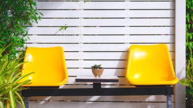Beyaz dekoratif ahşap duvarın önünde iki boş sarı plastik sandalye ve eski kahve dükkanının önünde yeşil bitkiler.