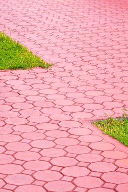 Geometrik zigzag deseni kırmızı sekizgen taş bloklar kaldırım zemininde çimenler dikey çerçevede kamu parkında