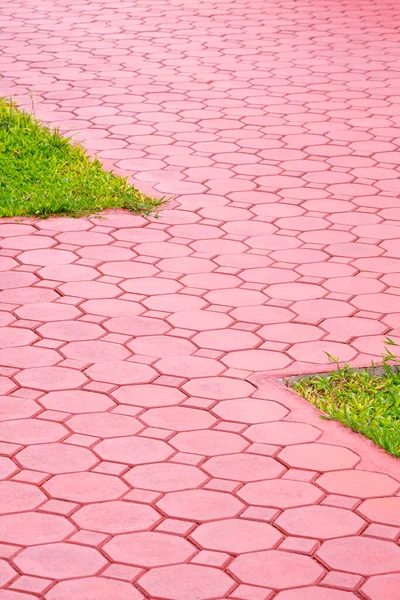 옥타곤 블록의 지리적 지그재그 패턴은 공원의 잔디가 바닥에 수직으로 배치되어 — 스톡 사진
