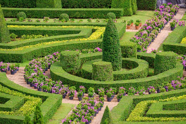 Belas Árvores Topiary Com Arbustos Estilo Jardim Ornamental Europeu Parque — Fotografia de Stock