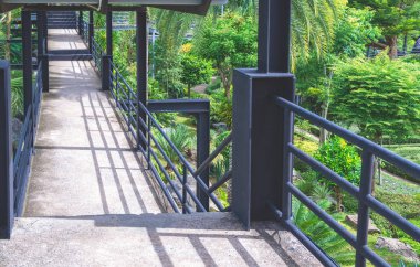 Kamu parkındaki tropik bahçenin üzerinde doğa yürüyüşü köprüsü, bakış açısı