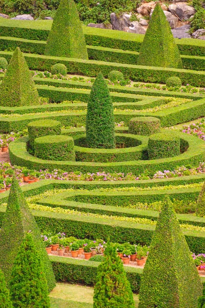 Bellissimi Alberi Topiary Con Arbusti Stile Giardino Ornamentale Europeo Parco — Foto Stock