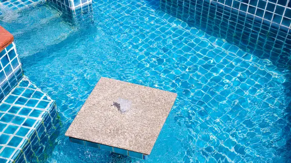 Marble countertop and fountain with seat in modern blue swimming pool of luxury resort, high angle view with copy space