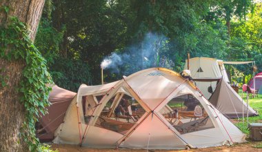 Doğal Park 'ın yeşillik alanındaki büyük bir ağacın altında yeşil çimlerde kamp yapan çadırlar.