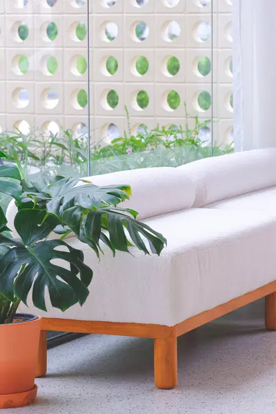 White couch with ornamental monstera plant near interior glass wall and white curtain inside of modern living room, Perspective side view and vertical frame