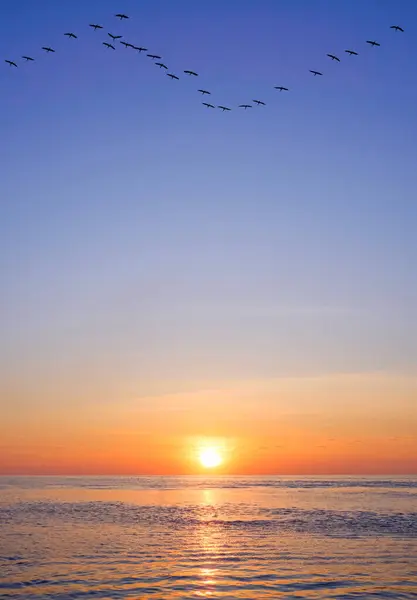 Idyllic natural sunrise sky background over sea with silhouette flock of crane birds flying on blue morning sky with golden sunlight reflection on water surface in vertical frame