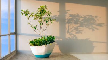 Modern evin oturma odasının köşesindeki cam duvarın yanındaki fayans zemininde yeşil ev bitkisi, çevre dostu konseptle iç mimari tasarım tasarımı