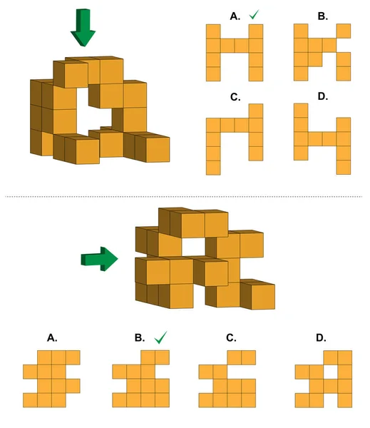 Set Two Exam Questions Given Object Made Cubes Four Options — Vector de stock