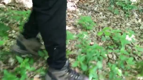 Прогулянки Лісу Кадри Чоловіка Пішохідним Взуттям Записані Збоку — стокове відео