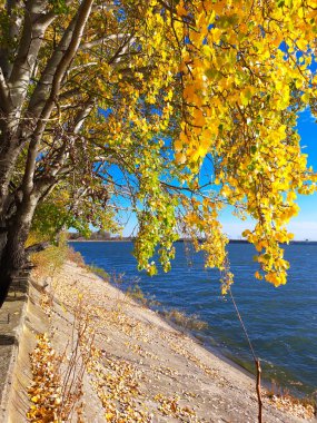 Tuna 'nın Romen tarafında somut kıyıları var. Fotoğraf Tuna 'da çekildi 