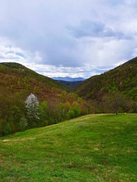 Kırsal manzaranın yatay fotoğrafı. Bulutlu bir günde tepelerin ve dağların ortasında kırsal bir manzara.
