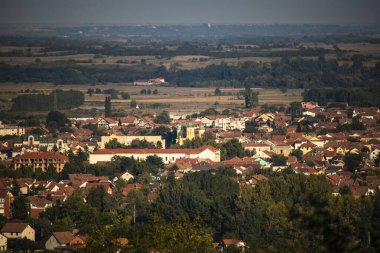 A panoramic view of Negotin, Serbia, showcasing a vibrant cityscape with a mix of traditional and modern architecture. The densely packed red-roofed houses and prominent buildings are nestled amidst lush greenery. clipart