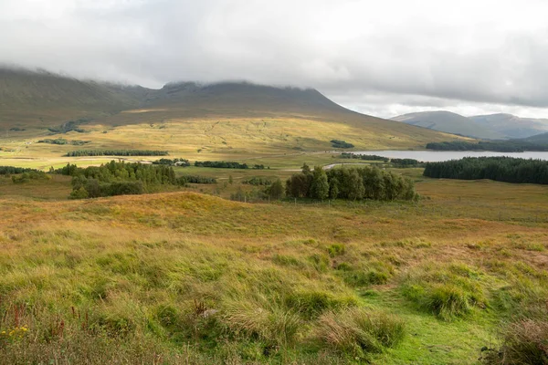 Grüne Farm Den Highlands Schottland — Stockfoto