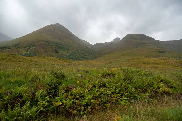 Green Farm Landscape Highlands Scotland — Stock Photo, Image