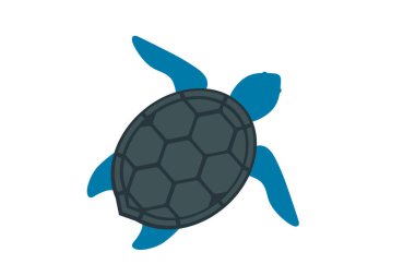 mavi kaplumbağa hayvan çizgi filmi klipsli düz sanat tarzı