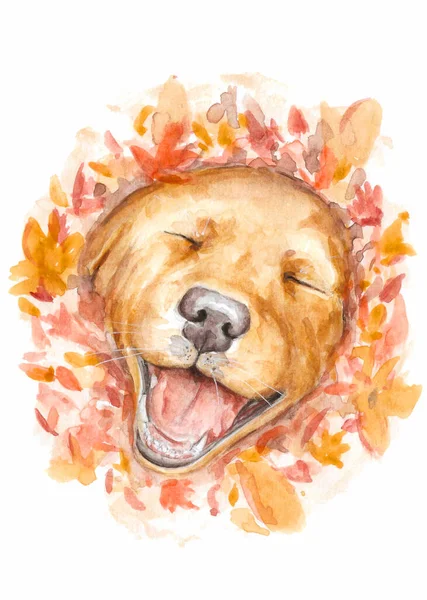 Kézzel Rajzolt Boldog Kutya Őszi Levelek Között Használt Akvarell Őszi Stock Fotó