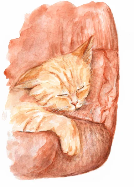 Kézzel Rajzolt Vörös Cica Egy Pulóveres Ember Karjaiban Használt Akvarell Jogdíjmentes Stock Képek