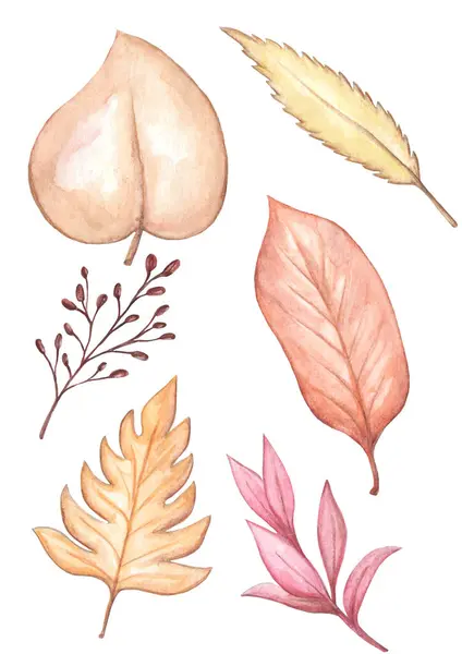 Őszi Levelek Kézzel Rajzolt Akvarellkészlete Pasztell Színek Őszi Téma Ötletek Stock Kép
