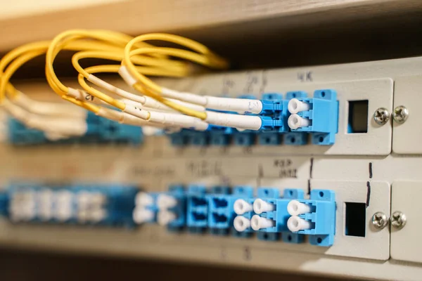 Optical patch panel. Data transmission via optical fiber cable. Optical patch cord Lc Lc.