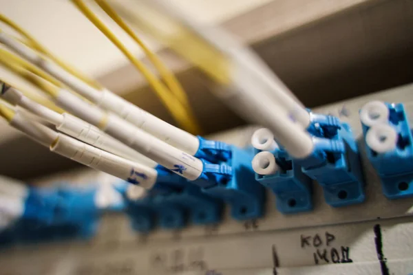 Optik yama paneli. Optik fiber kabloyla veri iletimi. Optik yama kablosu Lc Lc.