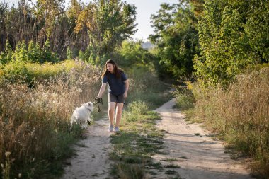 Bir kız gün boyunca toprak bir yolda ormanda bir köpekle oynuyor. Beyaz bir köpek sahibinin tasmasını ısırır..