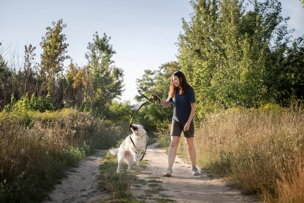 Genç bir kız gündüz vakti ormanın arka planında bir köpekle oynar. Toprak bir yoldalar. Beyaz bir köpek tasmayı ısırıyor..