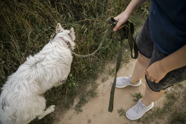 Köpek tasması tutan bir kızın yakın çekimi. Ve yanında beyaz bir köpek duruyor..
