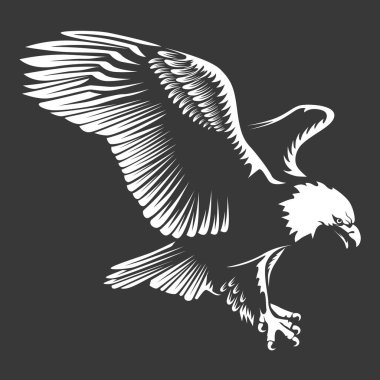 Kartal amblemi beyaz vektör illüstrasyon izole. Amerikan sembolü özgürlük ve bağımsızlık. Şahin, Retro renkli logo.