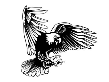Eagle emblem isolated on white illustration. American eagle. Bird symbol of freedom and independence. Retro color logo of falcon.