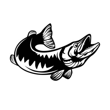 Pike fishing emblem. Pike fish logo vector. Outdoor fishing background theme. Angry fish logo.