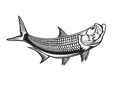Tarpon balık amblemi. Tarpon 'un siyah beyaz çizimi. Web tasarımı, kartlar, logolar ve diğer tasarım için vektör kullanılabilir
