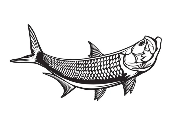 Tarpon Fishing Emblem Black White Illustration Tarpon Vector Can Used — Image vectorielle