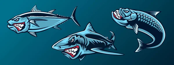 stock vector Fishing set of angry tuna, shark and piranha. Fishing emblem of ocean fish. Big eye tuna. Angry fishing club logotype. Dangerous fish.