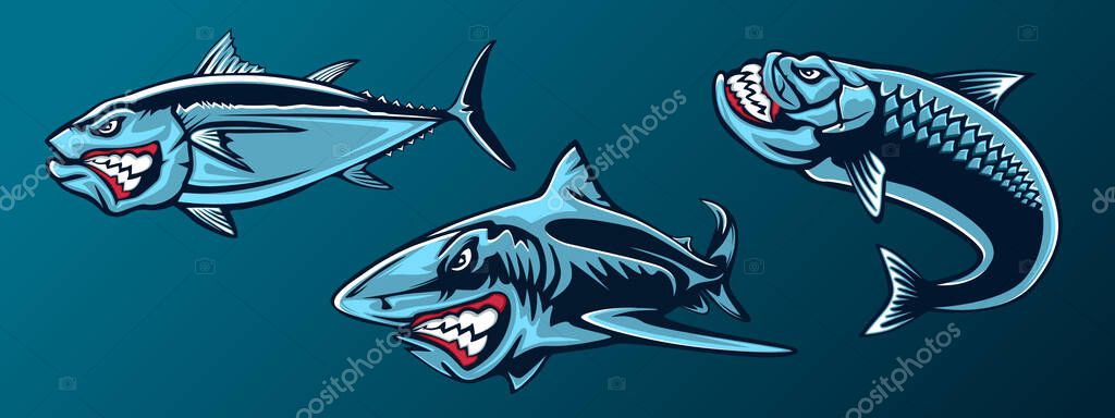 Fishing set of angry tuna, shark and piranha. Fishing emblem of ocean fish. Big eye tuna. Angry fishing club logotype. Dangerous fish.