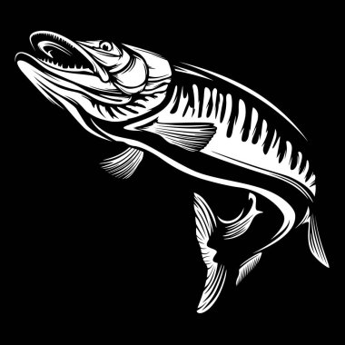 Pike balıkçılık amblem gömlek. Pike balık logosu vektör. Açık balıkçılık arka plan teması. Kızgın balık logosu.
