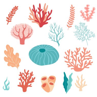 Mercan seti. Okyanus bitkileri, su altı bitkileri, yosun. Su bitkisi, yosun, tropikal deniz yatağı element vektörü.