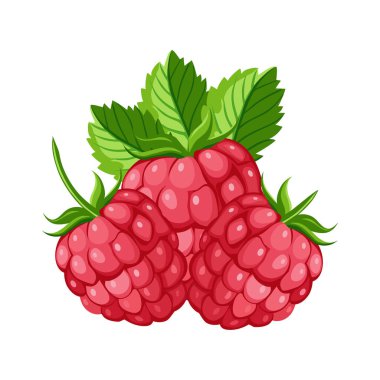 Ahududu vektör illüstrasyonu beyaz arkaplanda izole edildi. Ahududu simgesi. 