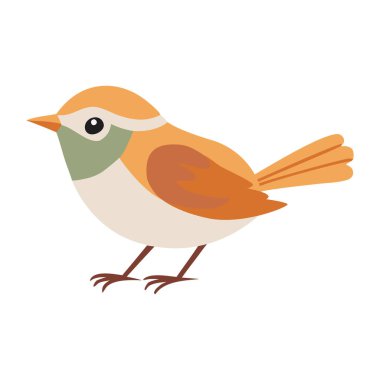 Sevimli kuş. Düz vektör çizimi beyaz arkaplanda izole edildi.