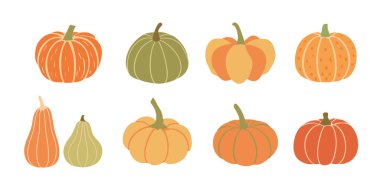 Balkabağı koleksiyonu. Farklı balkabakları. Vektör illüstrasyonu