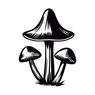 El çizimi mantar. Çizim mantarı. Beyaz arka planda izole edilmiş. Siyah ve beyaz.