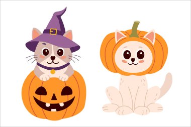 Cadılar Bayramı kostümlü kedi koleksiyonu. Cadılar Bayramı kedileri. Vektör illüstrasyonu.