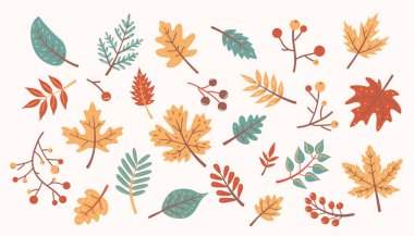 Sonbahar yaprakları. Düşen yapraklar. Karalama biçiminde vektör illüstrasyonu.