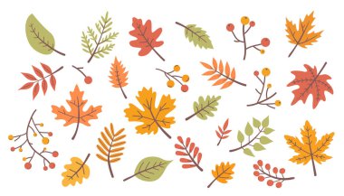 Sonbahar yaprakları. Düşen yapraklar. Karalama biçiminde vektör illüstrasyonu.