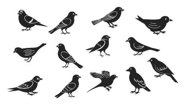 Bir grup siyah kuş silueti. Vektör çizimi. Beyaz arkaplanda izole.