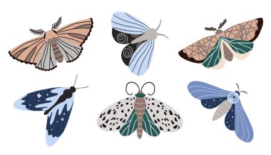 Kelebek ikonu koleksiyonu. Renkli Kelebekler klip seti. Parti davetiyesi, doğum günü kutlaması. Bahar, yaz dekorasyonu. Beyaz arkaplanda izole edilmiş vektör illüstrasyonu