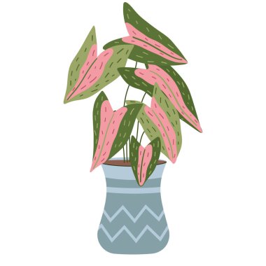 İç dekorasyon için saksıda saksı var. Vektör illüstrasyon tesisi düz stil. Ev dekorasyonu, çevre dostu tasarımlar ve botanik projeleri için mükemmel.. 