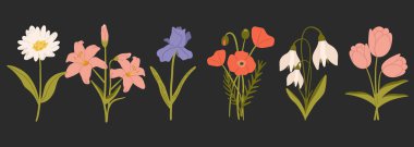 İlkbahar botanik vektör çizimi. El çizimi bahar çiçekleri. Düz bir şekilde vektör illüstrasyonu. Çiçek tasarımı