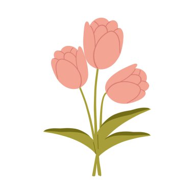 Bir buket pembe lale. Bayanların bayrağını selamlıyorum. Bahar çiçekleri. Düz vektör illüstrasyonu.