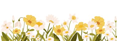 Yatay beyaz pankart ya da çiçeklerle süslenmiş muhteşem renkli çiçekler ve yaprak kenarı. Beyaz arkaplanda bahar botanik vektör çizimi